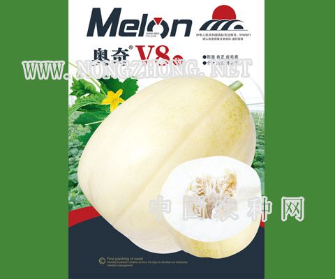 奥奇V8